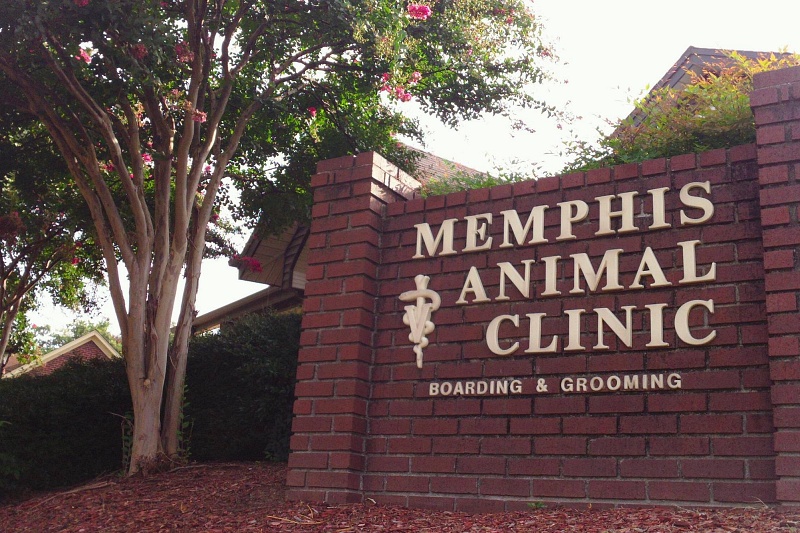 Memphis Animal Clinic in Memphis, TN
